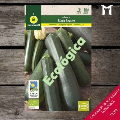 Foto principal CALABACIN BLACK BEAUTY ECO.