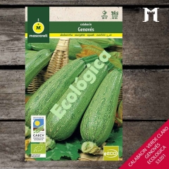 Foto principal CALABACIN VERDE CLARO GENOVES ECOL.