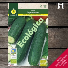 Foto principal PEPINO MARKETMORE 70
