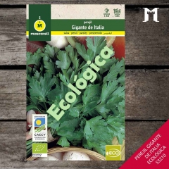 Foto principal PEREJIL GIGANTE DE ITALIA ECOLOGICA