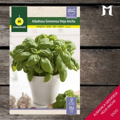 Foto principal ALBAHACA HOJA ANCHA RAINBOW
