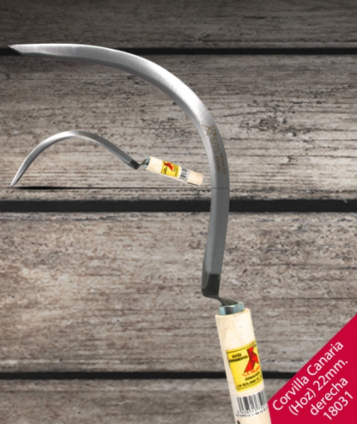 Foto principal HOZ CORVILLA CANARIA DERECHA E4