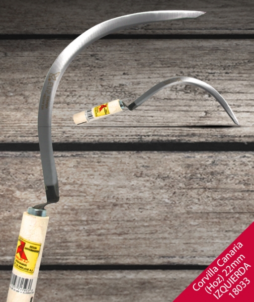 Foto principal HOZ CORVILLA CANARIA IZQUIERDA