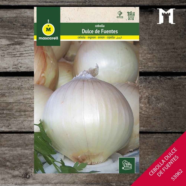 Foto principal CEBOLLA DULCE DE FUENTES RAINBOW