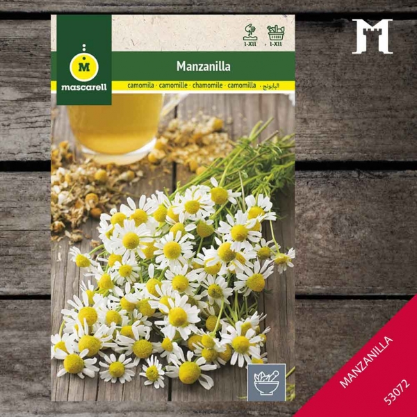 Foto principal MANZANILLA RAINBOW