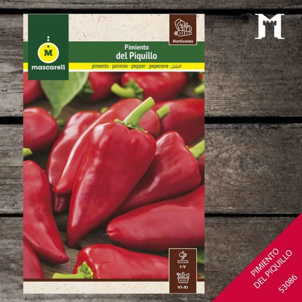 Foto principal PIMIENTO DEL PIQUILLO RAINBOW