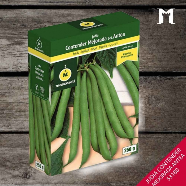 Foto principal JUDIA CONTENDER SEL ANTEA 250GR.