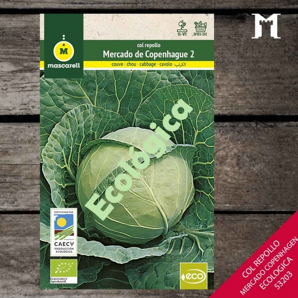 Foto principal COL REPOLLO MERCADO COPENH ECO