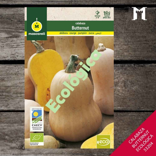 Foto principal CALABAZA BUTTERNUT ECOLOGICA