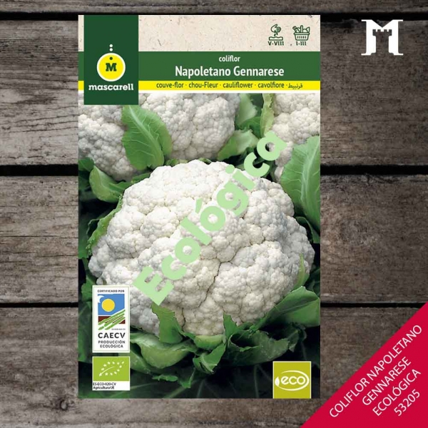 Foto principal COLIFLOR NAPOLETANO GENNARESE ECOL.