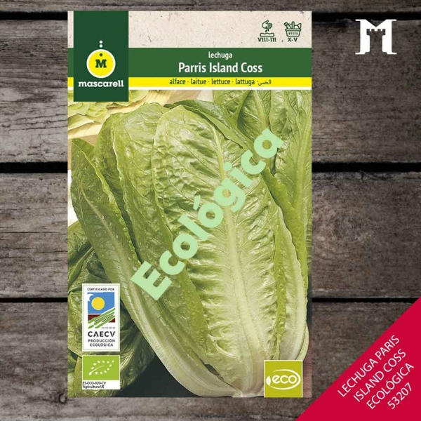 Foto principal LECHUGA PARIS ISLAND COSS ECOLOGICA