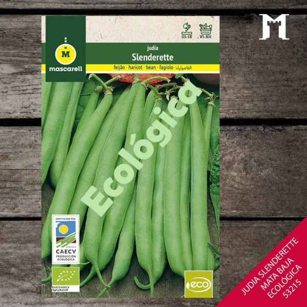 Foto principal JUDIA SLENDERETTE MATA BAJA ECO