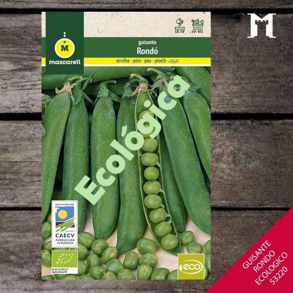 Foto principal GUISANTE  RONDO ECOLOGICO RAINBOW