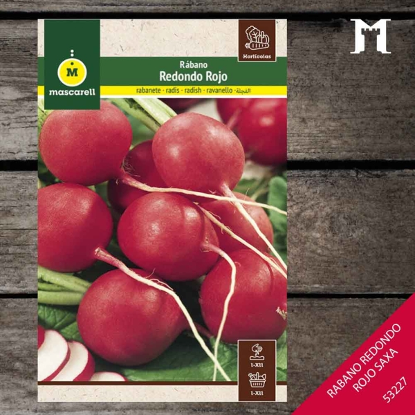 Foto principal RABANITO REDONDO ROJO SAXA 41150