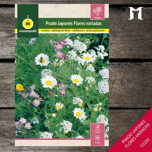 Foto principal PRADO JAPONES RAINBOW