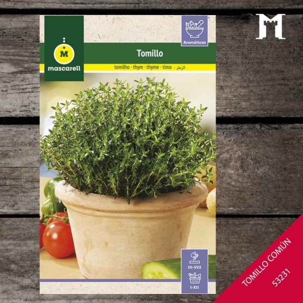 Foto principal TOMILLO '' RAINBOW 41223