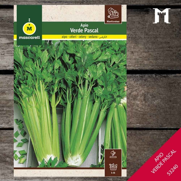 Foto principal APIO VERDE PASCAL 41010