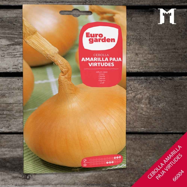 Foto principal CEBOLLA AMARILLA PAJA VIRTUDES