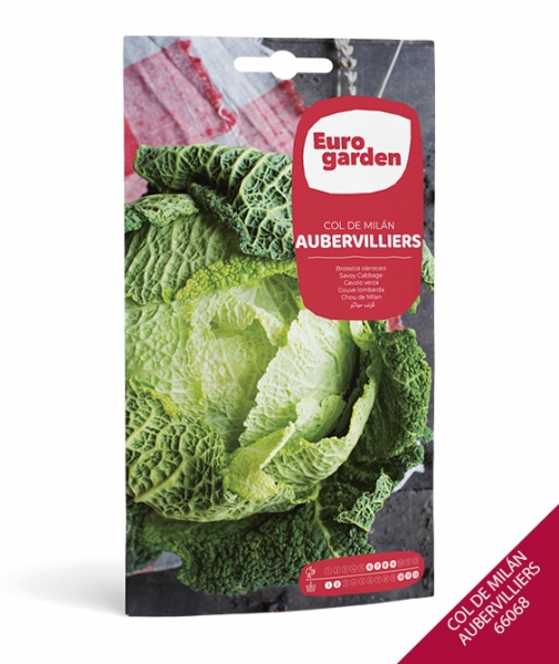 Foto principal COL DE MILÁN AUBERVILLIERS