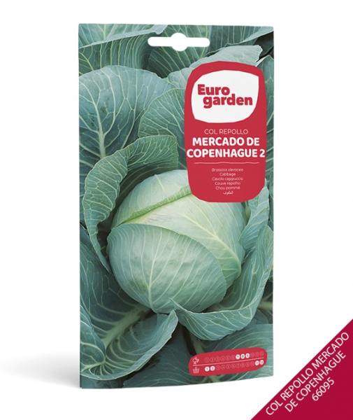 Foto principal COL REPOLLO MERCADO DE COPENHAGUE